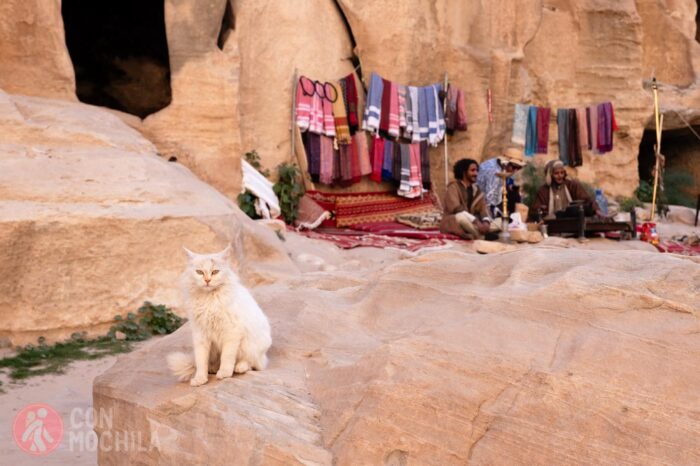 La embajadora de Little Petra