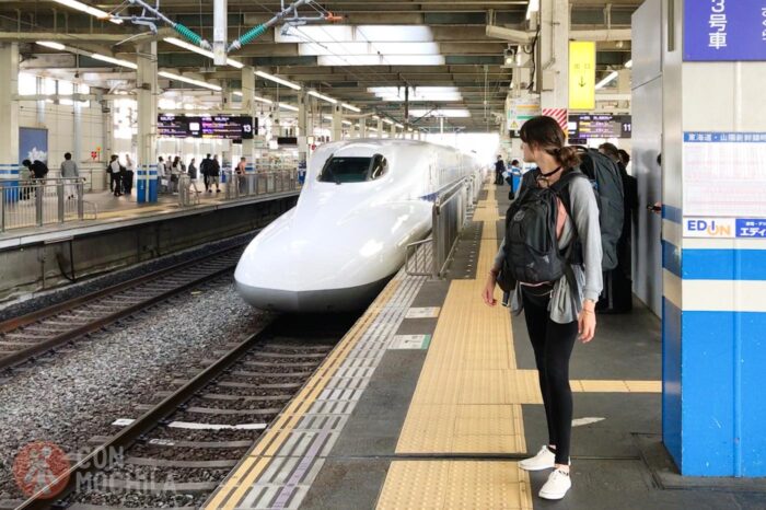 Carme ante un tren bala