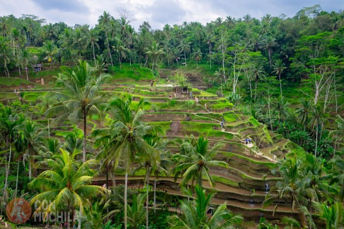 Bienvenidos a Indonesia