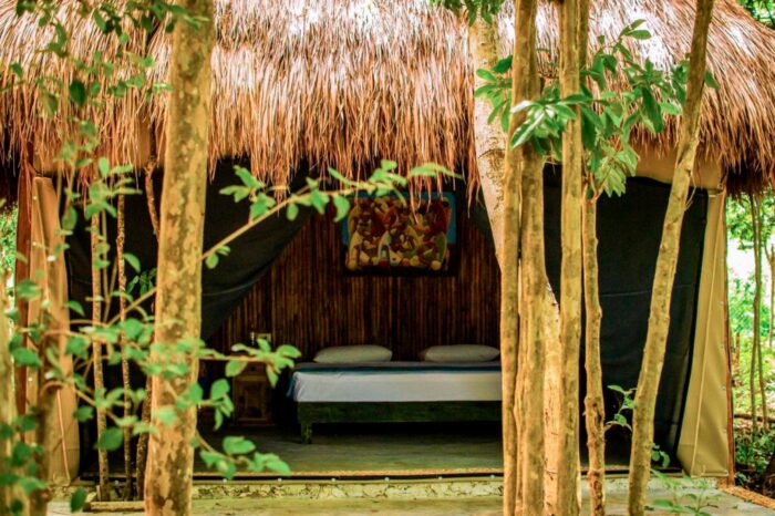 Akumal Natura Glamping