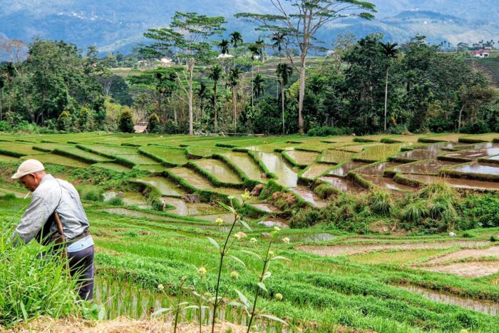 Aldea Indonesia