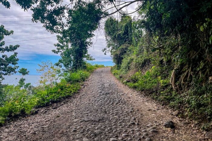 carretera flores indonesia