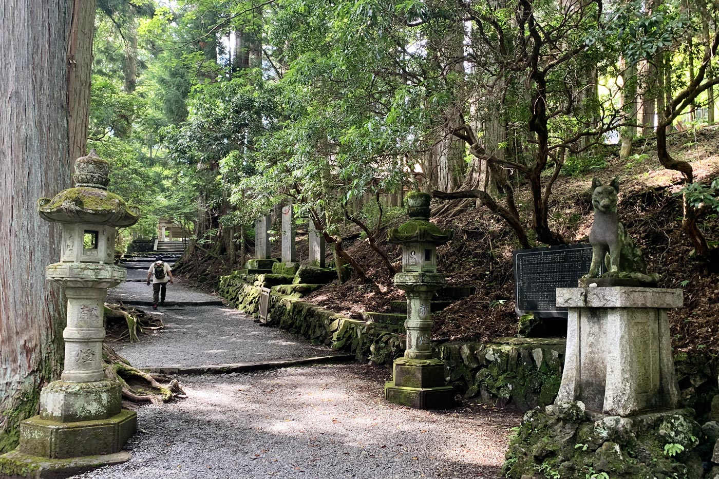 Chichibu es un lugar estupendo para disfrutar paseando rodeado de naturaleza