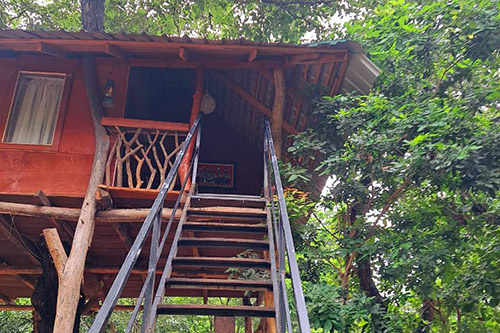 Green Leaf Tree House