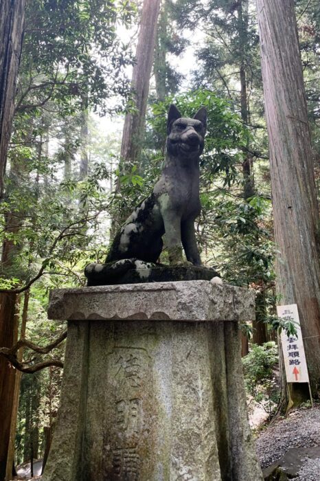 Figura de lobo divinizada, guardando el camino al santuario de Mitsumine Jinja, en Chichibu