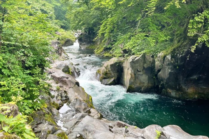 La naturaleza que rodea Nikko es exuberante