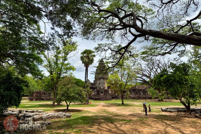 Estampa del parque