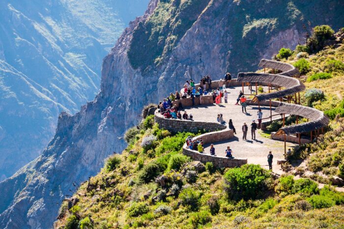 Desde el Mirador del Cóndor veremos el vuelo de este ave majestuosa y con suerte algunos se posarán en los riscos cercanos.