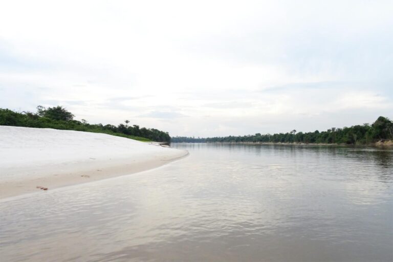 Uno de los muchos brazos fluviales del Amazonas y sus miles de afluentes.