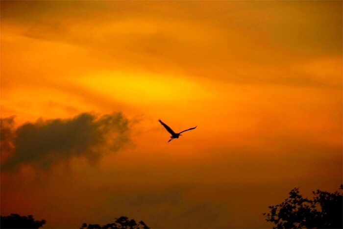 puesta de sol sungai linggi maria marcos