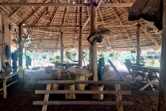 vieng