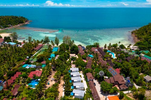 Bougain Villas