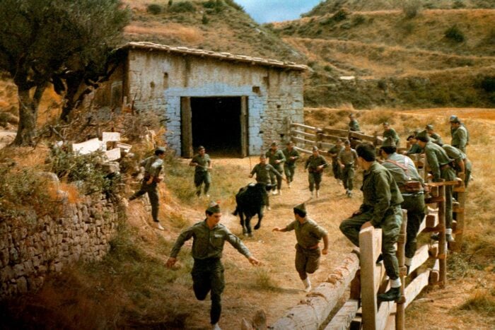 La crónica cósmica. La vaquilla salió ilesa