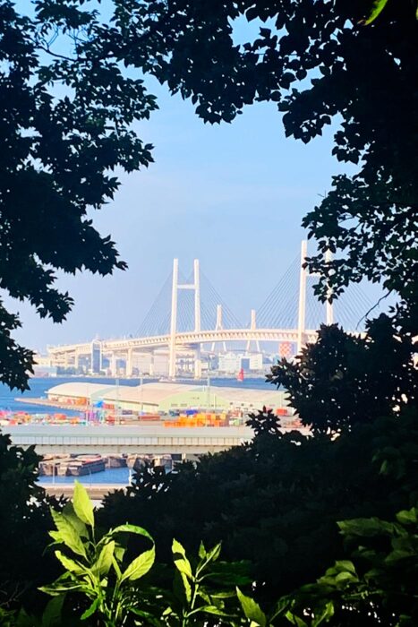 Puente sobre la bahía, cuyo diseño recuerda al famoso Rainbow Bridge de Tokio