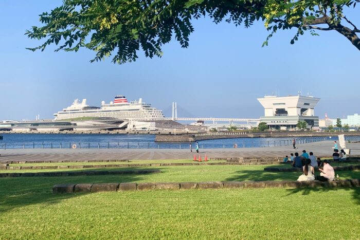 Crucero de línea atracado en el paseo marítimo