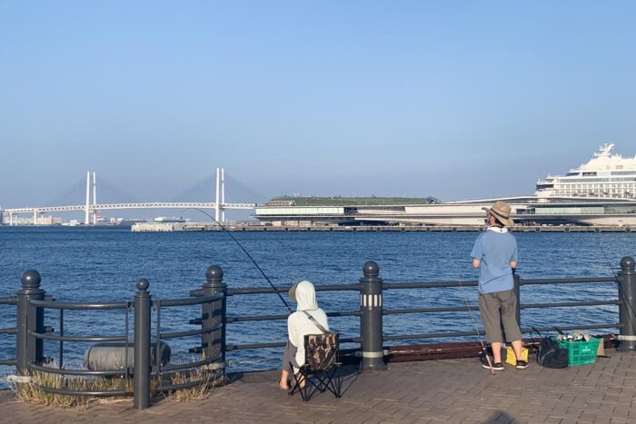 Pescando junto al puerto