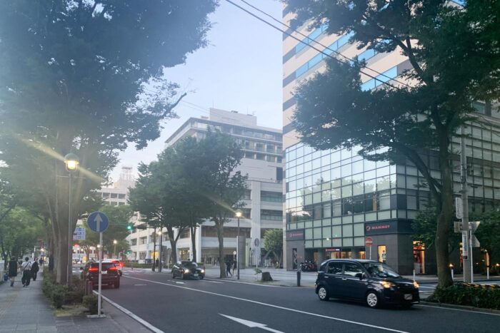 Yokohama es una ciudad muy paseable 
