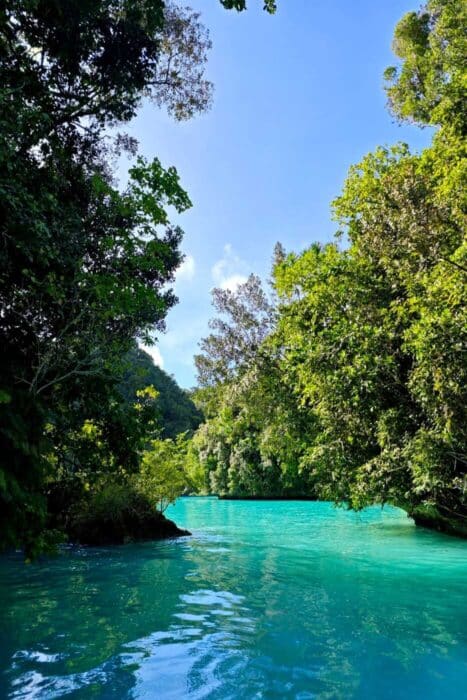 Entre fantasía de escenas mejores que las de las películas donde la naturaleza se hace realidad.