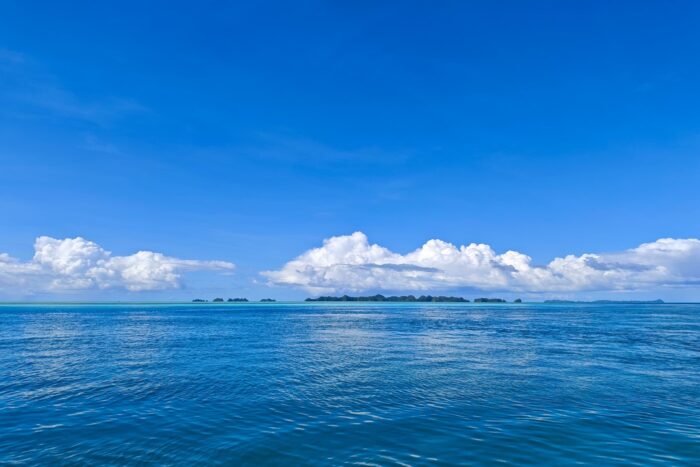 Bienvenidos a la inmensidad del Pacífico, donde los Azules sin fin esconden secretos marino, que te vengo a desvelar.