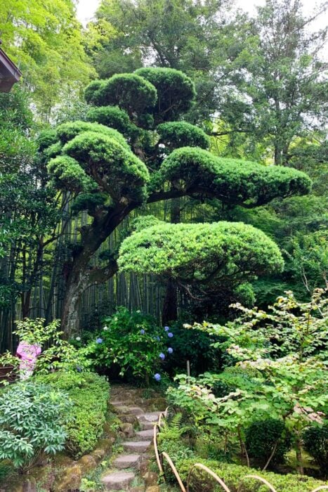 Jardines del Hokokuji