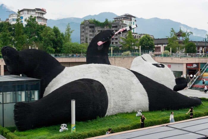 Selfie Panda Chengdu