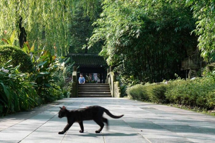 Peoples Park