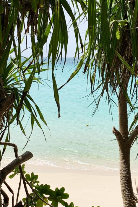 Una pequeña cala salvaje en Okinawa