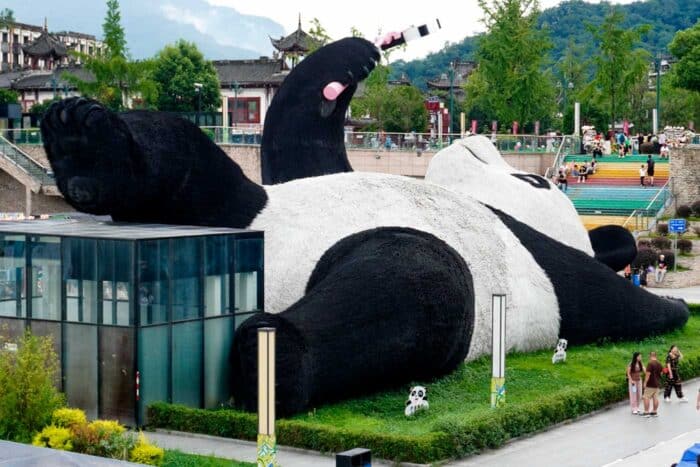 Panda en Chengdu