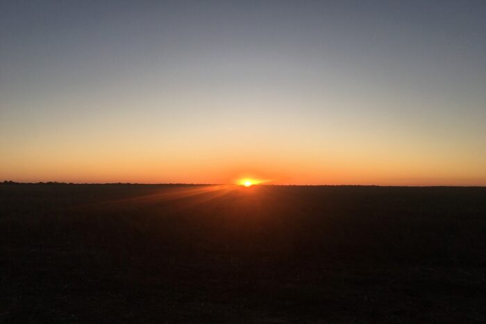 Imagen típica del desierto
