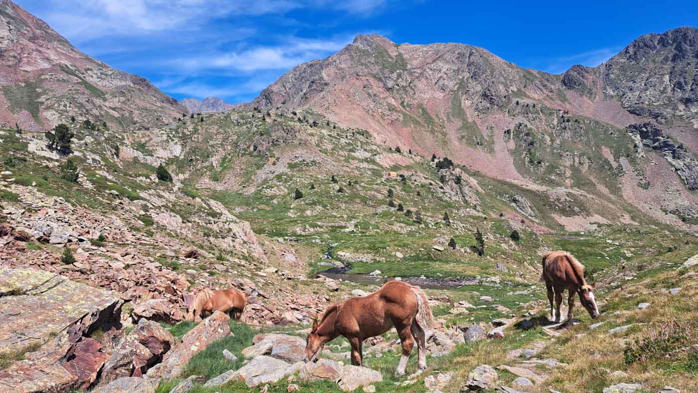 GR11 Etapa 17 a su paso por Andorra