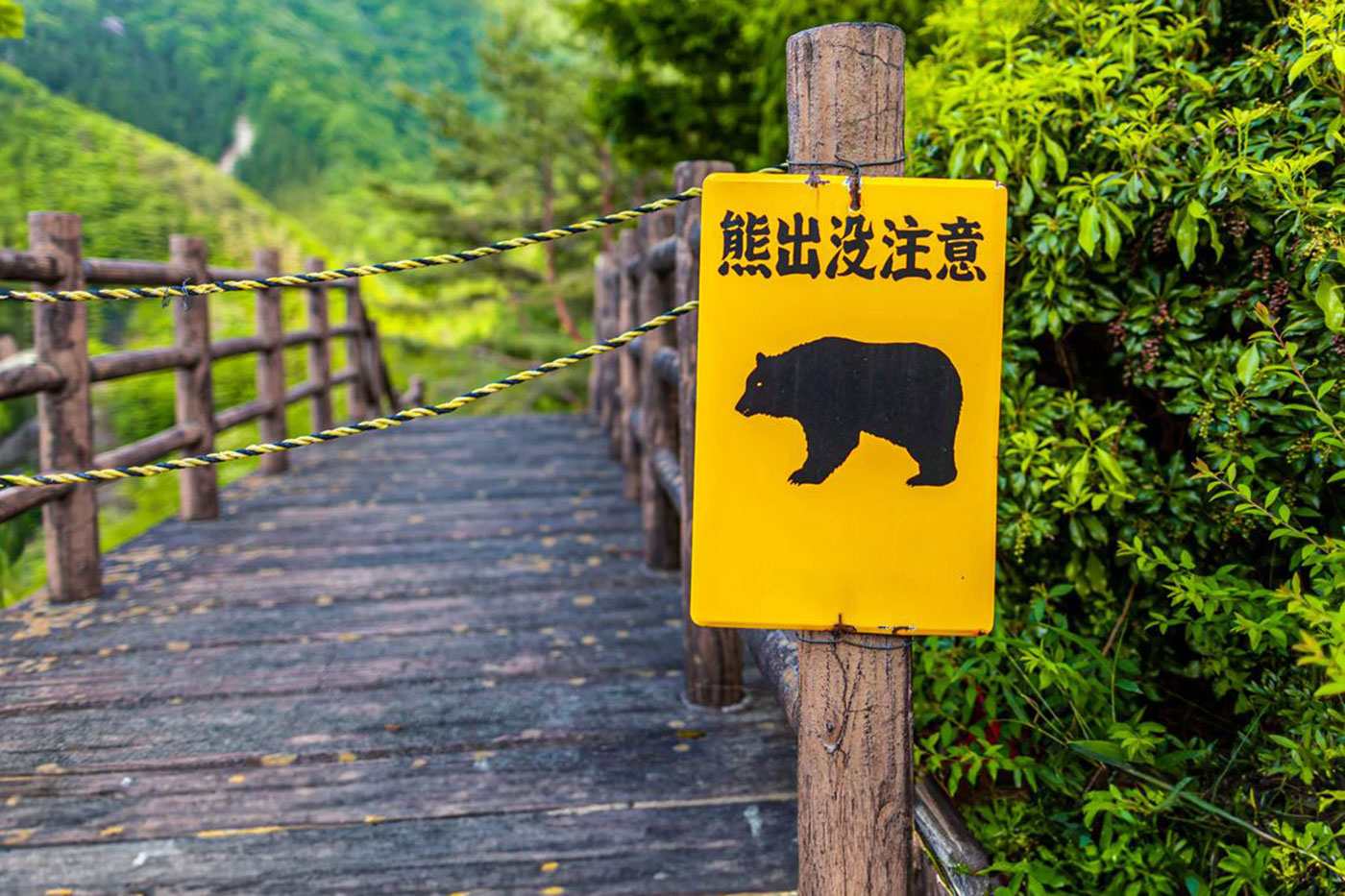 Cartel alertando de la presencia de osos en la zona