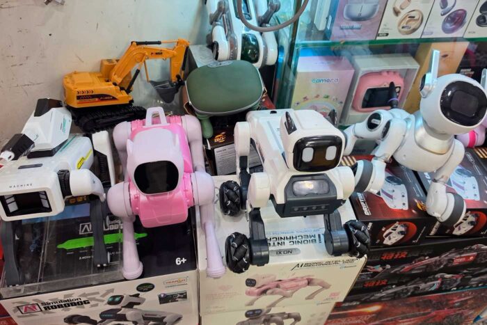 Shenzhen: la ciudad china del futuro que encandila a los influencers 15 Robots Shenzhen