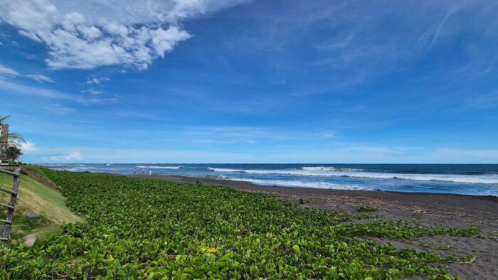 Con los hijos del maíz. De La Democracia a El Paredón y unas tortugas sobrevivientes 14 Una playa inmesa, casi virgen en El Paredón