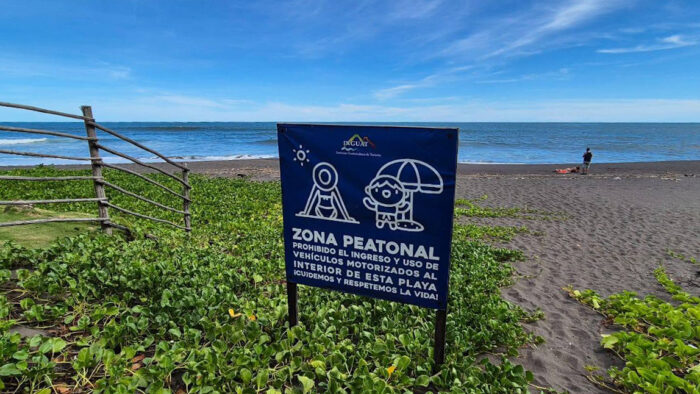 Con los hijos del maíz. De La Democracia a El Paredón y unas tortugas sobrevivientes 17 Playa desierta y con oleaje