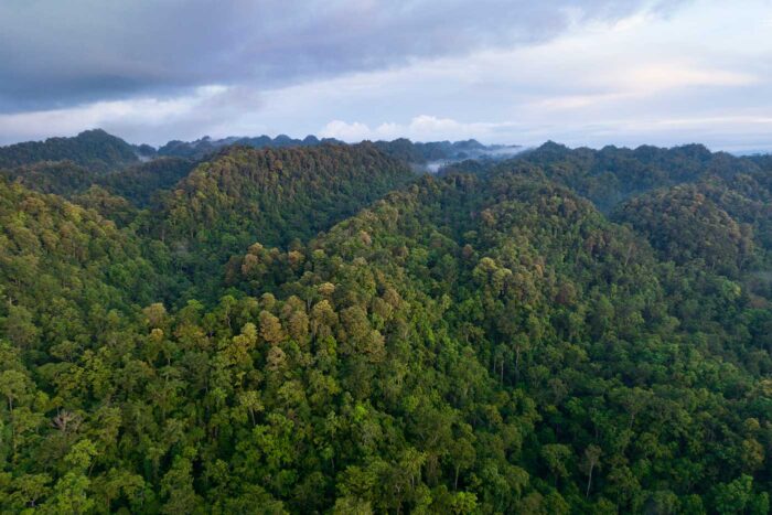 Indonesia remota: las islas tribales más auténticas 1 Indonesia remota