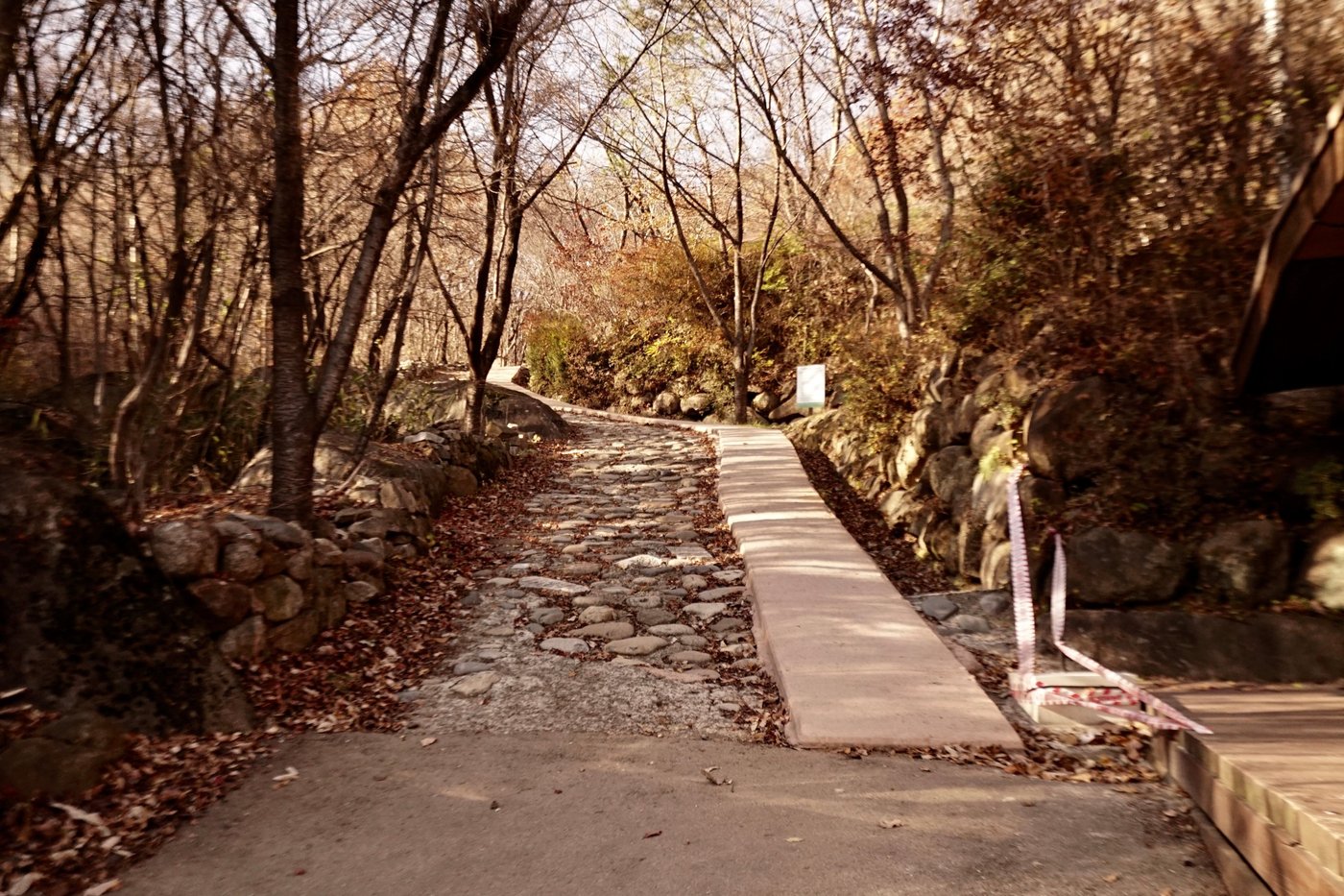 Sendero en el Parque Nacional de Jirisan
